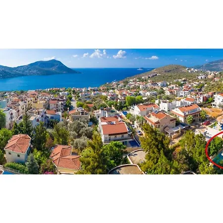 Almond * Kalkan